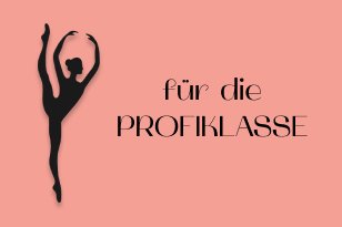 SOMMERFERIEN "Profiklasse"